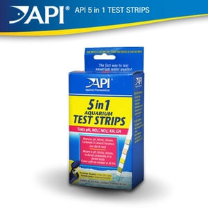 API 5 in 1 테스트 스트립스